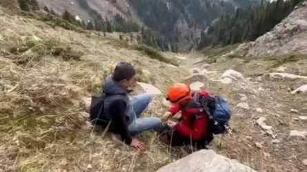 Алматыда тауға шыққан Вьетнам азаматы адасып кетті