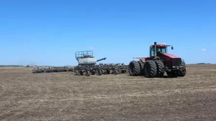 В Костанайской области изменения климата вынуждают аграриев менять планы