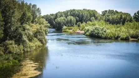 Ресей Қазақстанға Жайық суы бойынша үлестің жартысын ғана беріп отырған