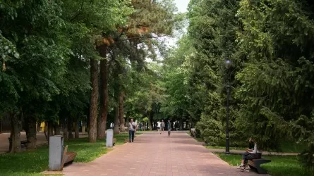 Какая погода будет в Астане, Алматы и Шымкенте