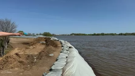 Қазақстан мен Жапония су тасқынына қарсы күресті күшейту үшін грант бөлуге келісті