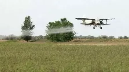 Қазақстанда шегірткемен күресу үшін 7,1 млрд теңге бөлінген