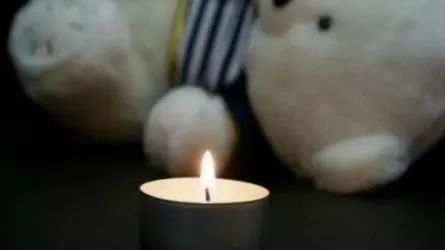 Шестилетний мальчик, пропавший в Коргалжыне, найден мертвым в реке