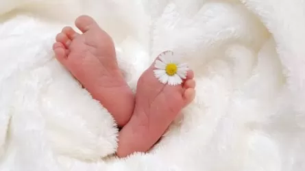 Биыл өмірге келген сәбилерге ең жиі қойылған есімдер анықталды