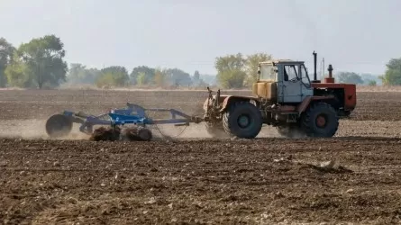 Биыл 23,7 млн гектар жерге егін егіледі
