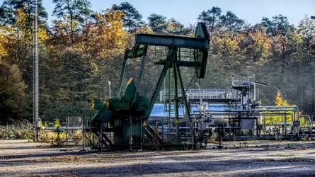 Цены на нефть стабилизировались после стремительного роста 