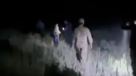 Самолет вынужденно сел в степи на юге Казахстана