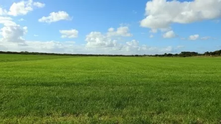 Сельхозучасток стоимостью почти 5 млрд тенге вернули государству 