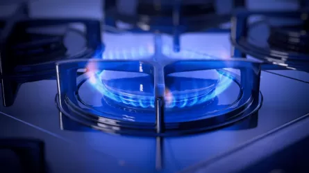 Елімізде табиғи газ тұтыну көлемі артты 