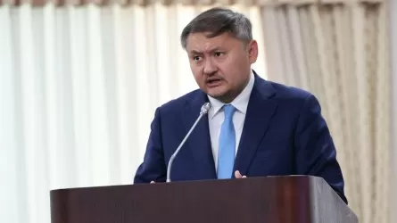 «Гарвардтан шығарылса, Ivy League-ның басқа университетіне ауыса алады» – Саясат Нұрбек