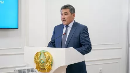 Депутаттар ұлттық қауіпсіздік жүйесіндегі ең әлсіз буынды атады 