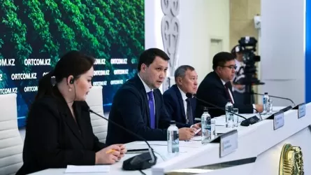 Огромные площади полей и пастбищ обработали от саранчи в регионах РК 