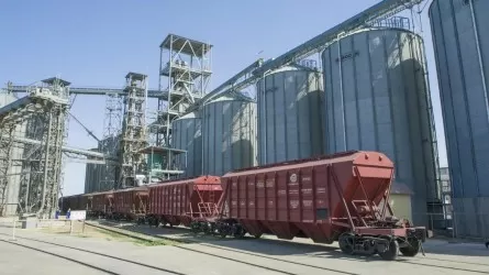 Қазақстанның астығы 5-тен аса елге экспортталады