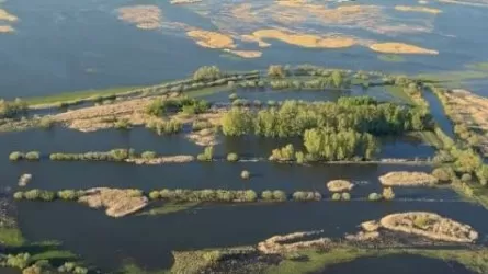 Почти вся пойма Иртыша затоплена в Павлодарской области  