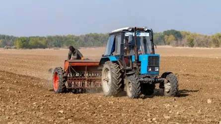 Субсидий больше, результатов меньше: куда делись триллионы тенге?