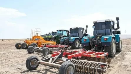 В Казахстане засеяли почти 7,4 млн га сельхозугодий