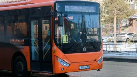 Павлодарда автобус жүргізушісі велосипедшіні қағып кетті