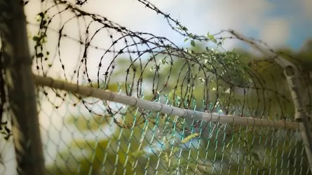 В Кыргызстане задержали подозреваемых в подготовке массовых беспорядков 