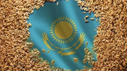 Отандық астықты экспорттау көлемі 58,1%-ға артты