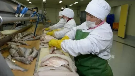 Еліміз балық өнімдерін 21 мемлекетке экспорттайды