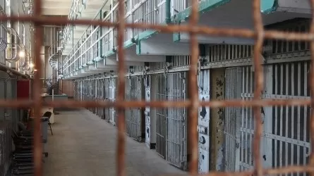 Огромная сумма осела в кармане директора центра занятости и ее подельников в Павлодарской области 