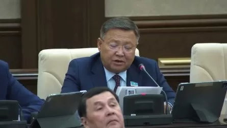 «Шегірткеден зардап шегіп жатыр»: Депутат Түркістан халқын алаңдатқан мәселелерді атады