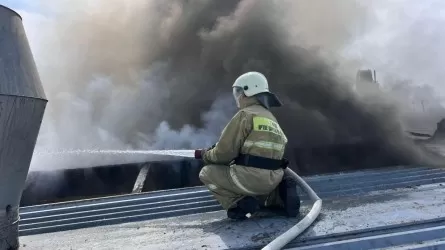 Алматы облысында ұн зауытында жарылыс болды