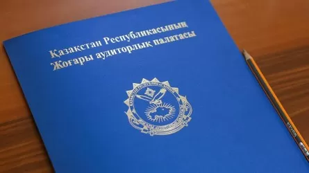 «Назарбаев» университеті, ӘМСҚ мен АХҚО: Мемлекет оларды енді басқаша қаржыландырады