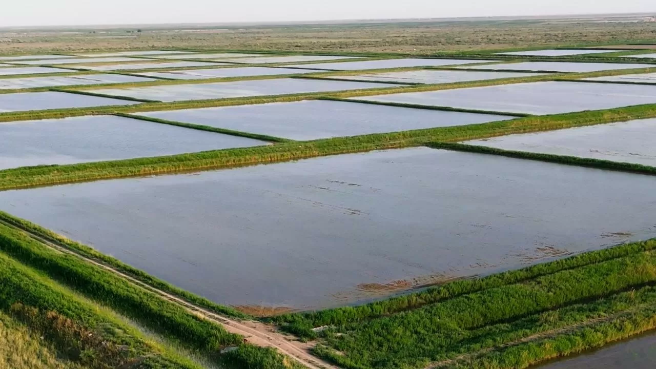 Сразу два новых водных объекта сдали в Жамбылской области  