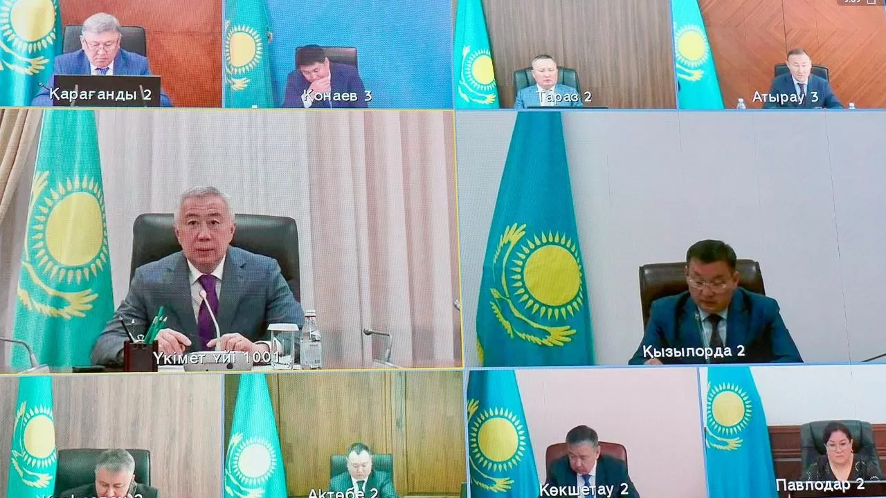 Қазақстан мен Қырғызстан бірлесіп шегірткеге қарсы күреспек