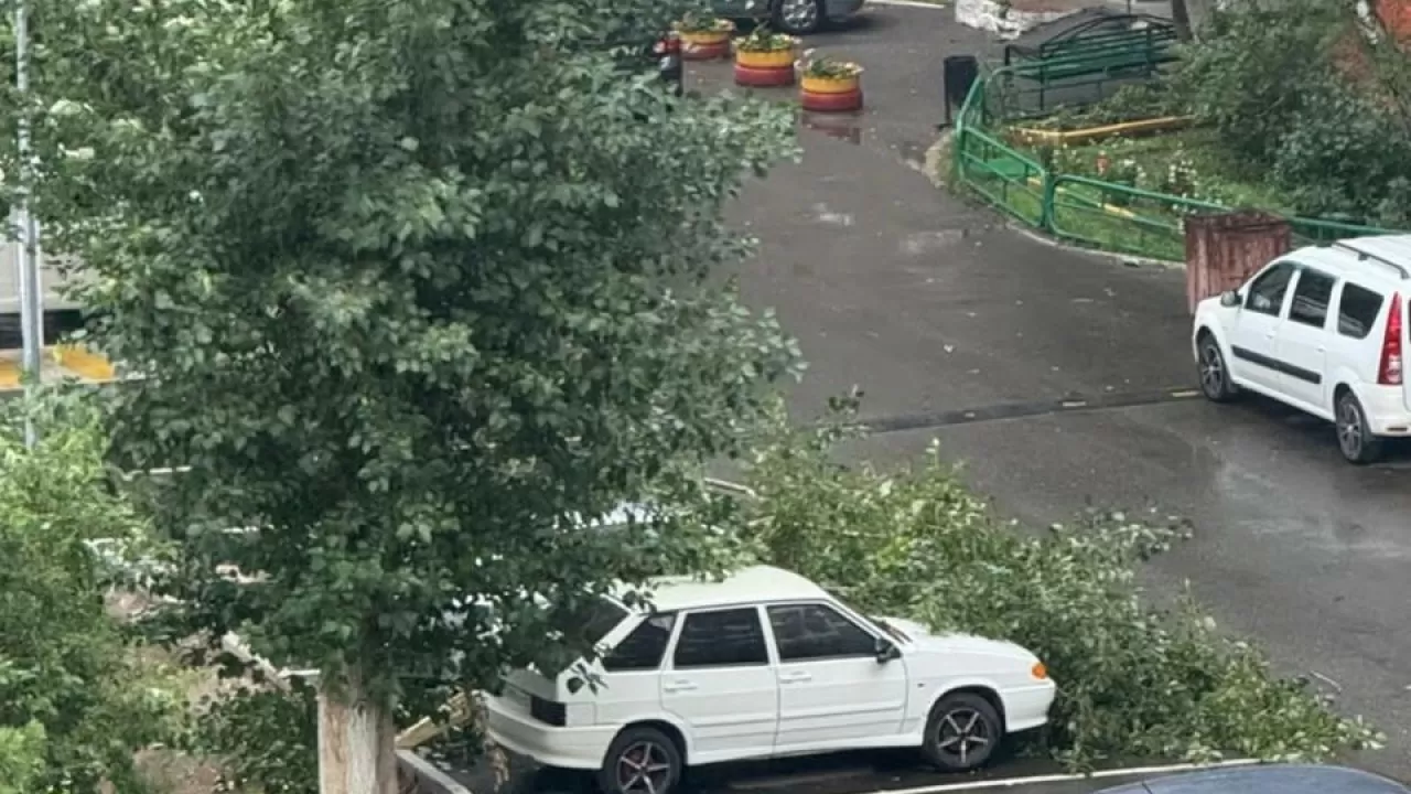 16 человек пострадали от ураганного ветра в Павлодарской области 