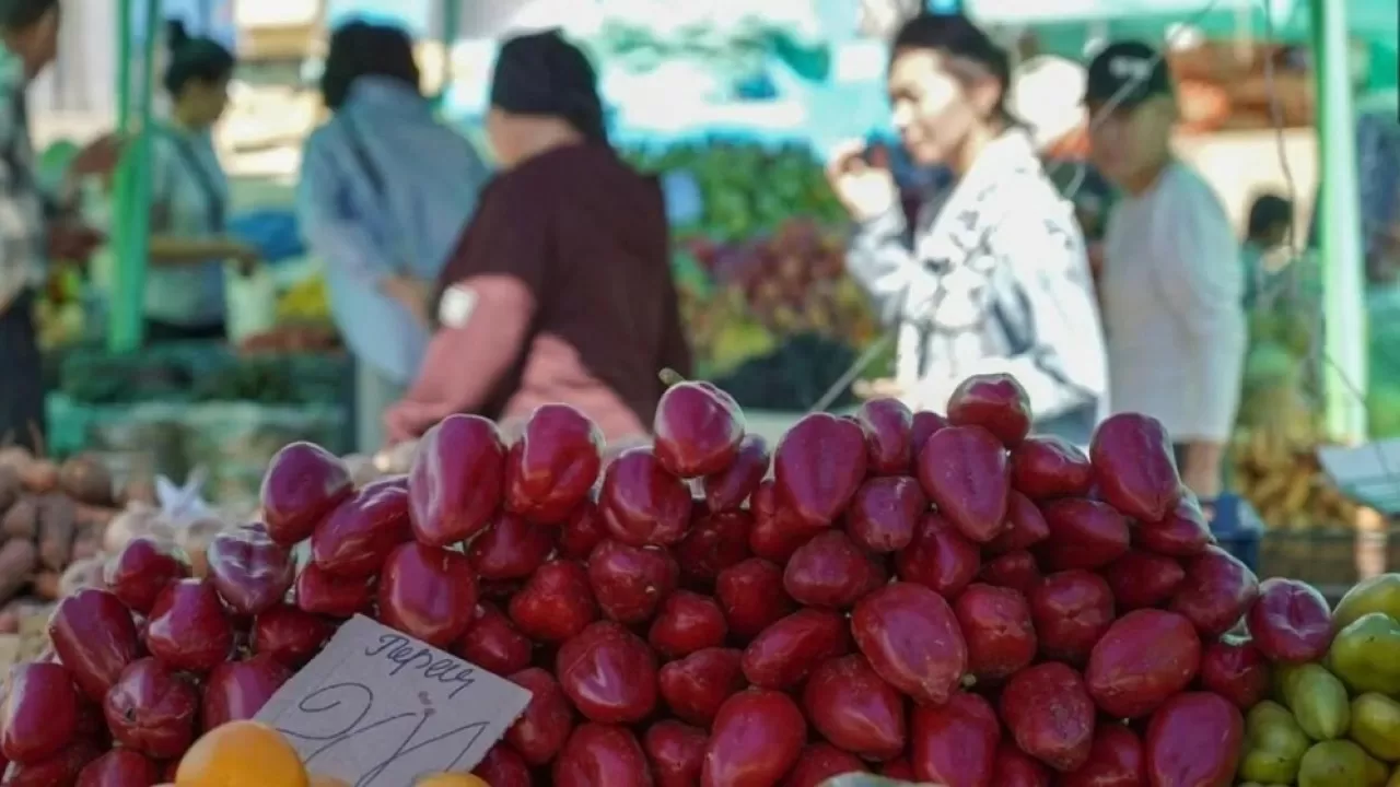 Купить молоко и мясо по низким ценам смогут астанчане в выходные
