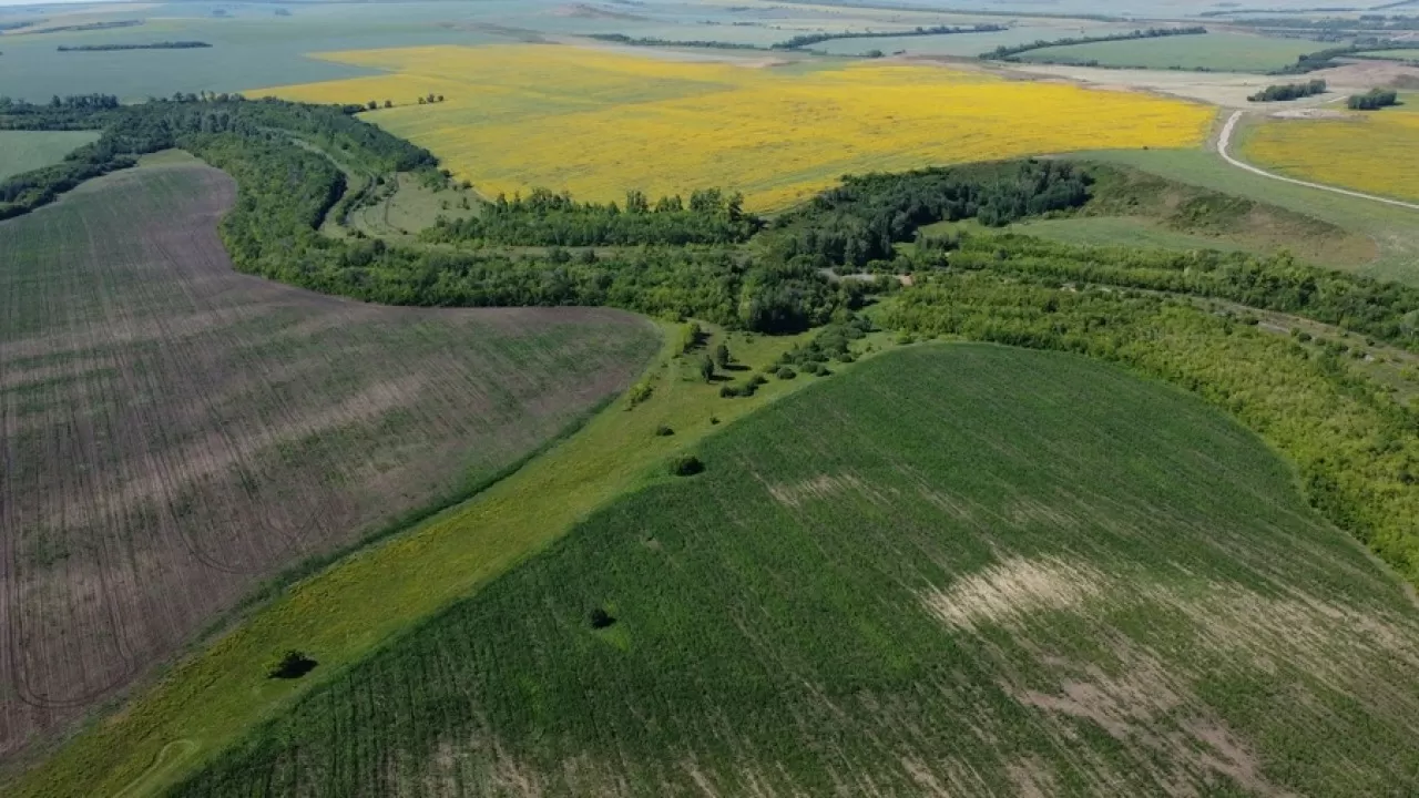 Қоныс аударушыларға 5 жылға дейін ауыл шаруашылығы жерлері жалға беріледі