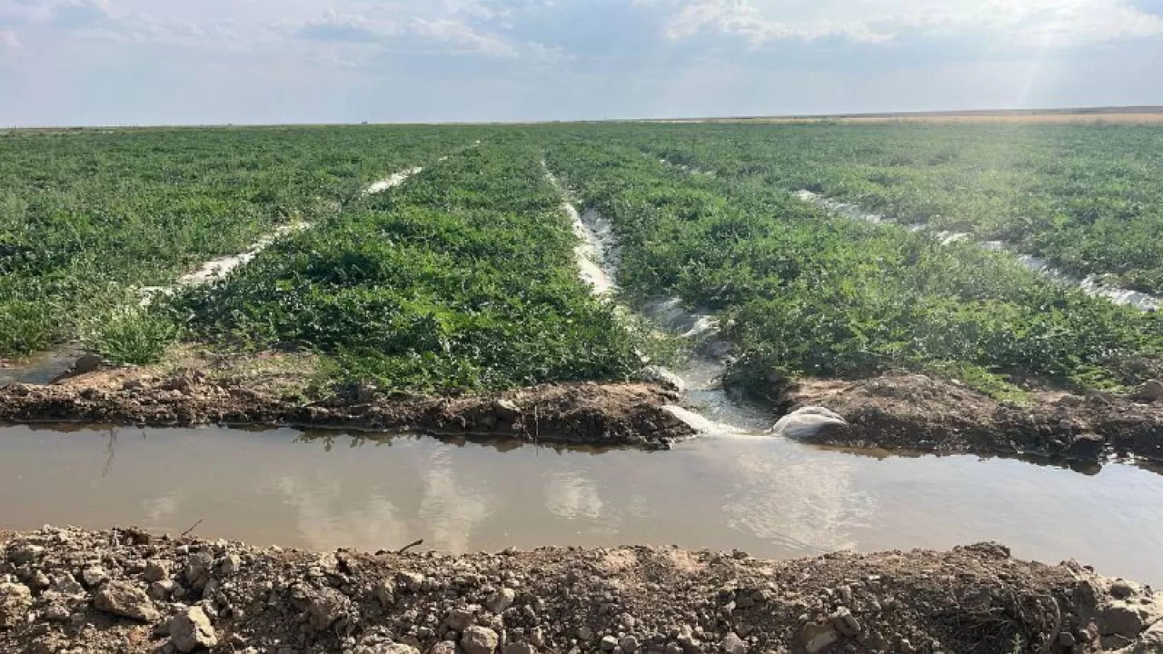 Подача поливной воды идет в полном объеме аграриям в Кызылординской области  