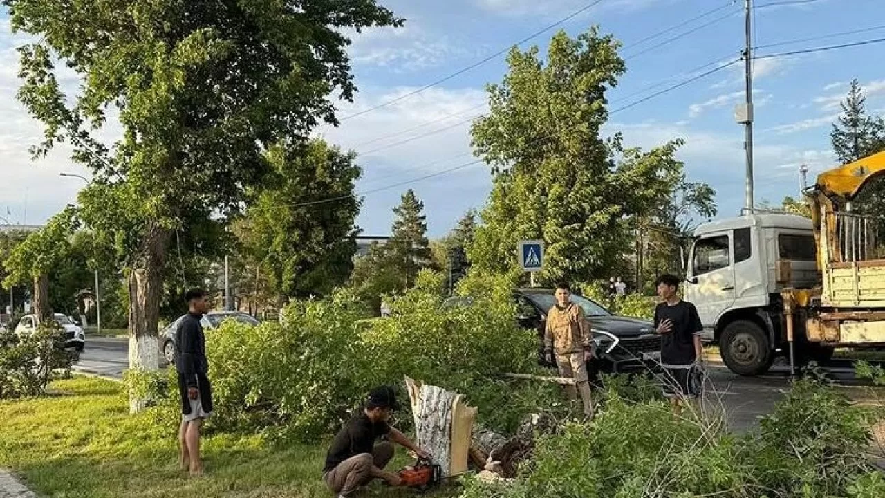 Последствия ураганного ветра устраняют в Павлодарской области