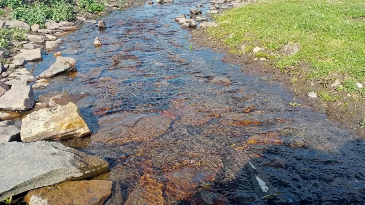 Миллионы кубометров воды незаконно качали из водоемов аграрии в Кызылординской области 