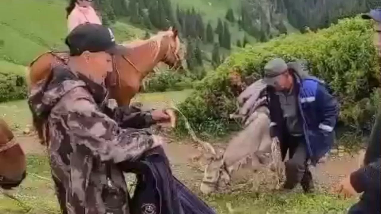 Алматы облысында жоғалған аңшы табылды