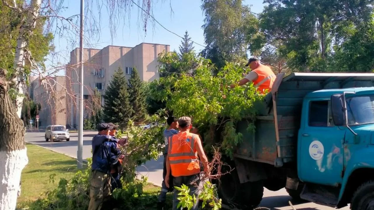 После урагана обещанной метели жители Павлодара не удивились 