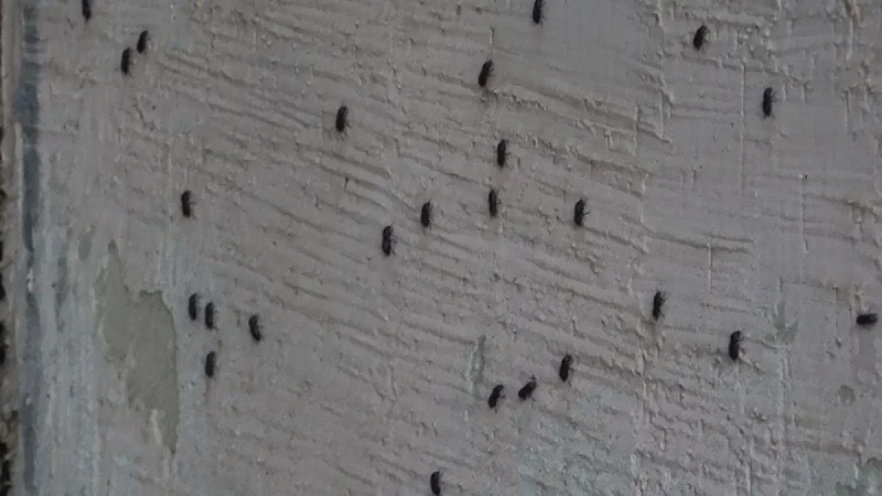 Қарт пен жас әйелмен жыныстық қатынас Наруто порно комикстері