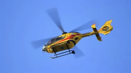 Двое суток блуждала по лесу пенсионерка в ВКО 