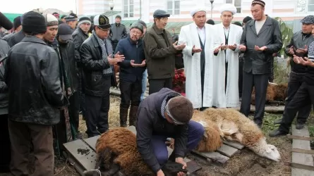 Шымкентте Құрбан айт мерекесіне орай мал союға арналған ресми орындар белгіленді