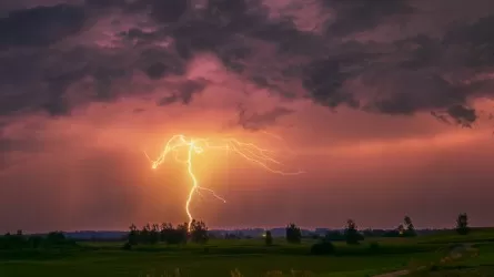 Ақмола облысында әкесі мен ұлына найзағай түсіп, көз жұмды