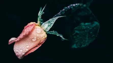 Дождливая погода продлится на большей части Казахстана