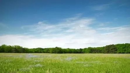 Казахстанский предприниматель остался без земли под мусороперерабатывающий завод