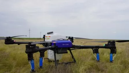 Қарасора өсетін аймақтарды бақылау үшін дрондар қолданылады