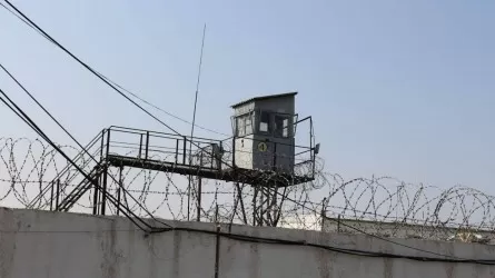 Алматыда жасөспірім колониядан қашып кетуге тырысқан 