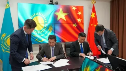 Қытайлық компания елімізде жүгері өңдейтін болды