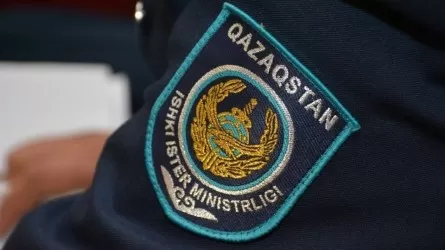 В МВД рассказали о деталях расследования поджога дома Шерзата Полата 