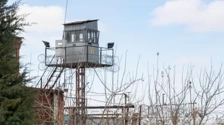 Швеция будет арендовать места в тюрьме у Эстонии