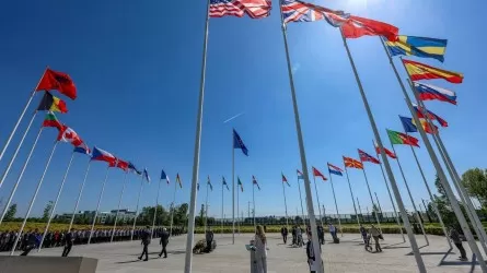 Гаагада НАТО саммиті өтеді